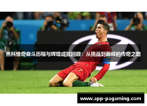 焦科维奇奋斗历程与辉煌成就回顾：从挑战到巅峰的传奇之路