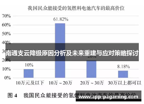 南通支云降级原因分析及未来重建与应对策略探讨