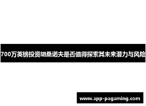700万英镑投资胡桑诺夫是否值得探索其未来潜力与风险