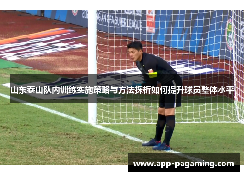 山东泰山队内训练实施策略与方法探析如何提升球员整体水平