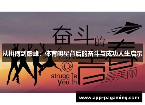 从拼搏到巅峰：体育明星背后的奋斗与成功人生启示
