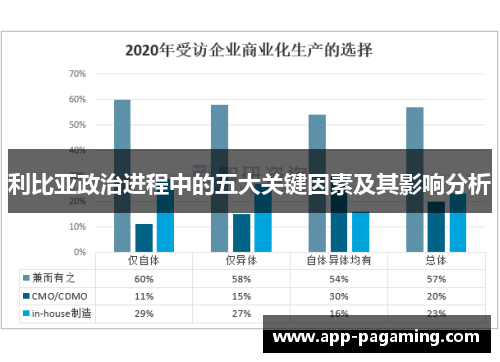 利比亚政治进程中的五大关键因素及其影响分析