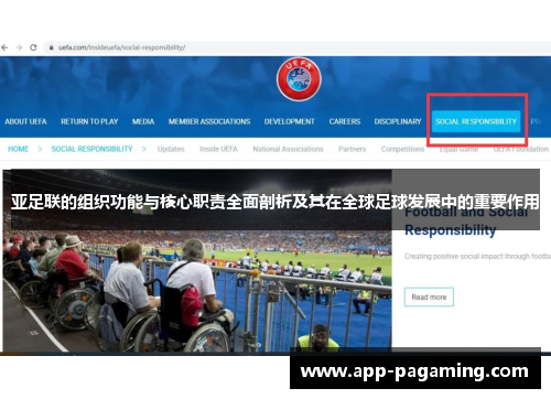 亚足联的组织功能与核心职责全面剖析及其在全球足球发展中的重要作用