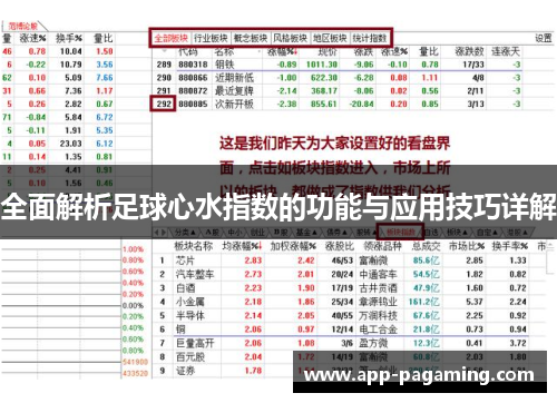 全面解析足球心水指数的功能与应用技巧详解
