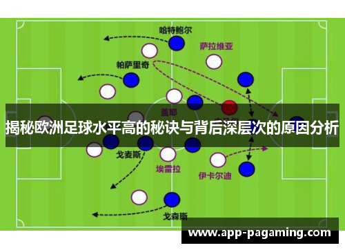 揭秘欧洲足球水平高的秘诀与背后深层次的原因分析