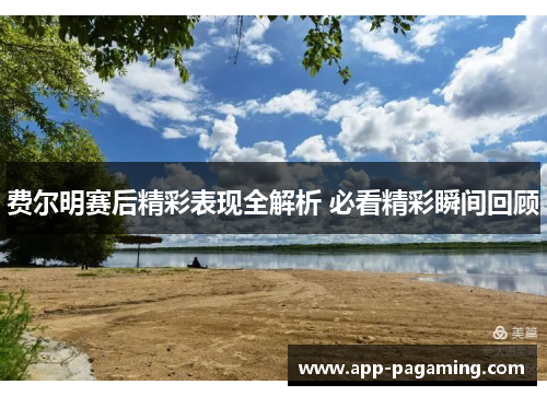 费尔明赛后精彩表现全解析 必看精彩瞬间回顾