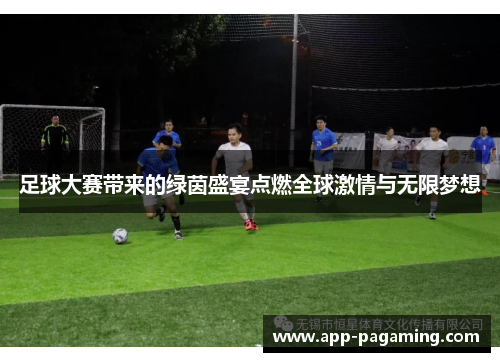 足球大赛带来的绿茵盛宴点燃全球激情与无限梦想
