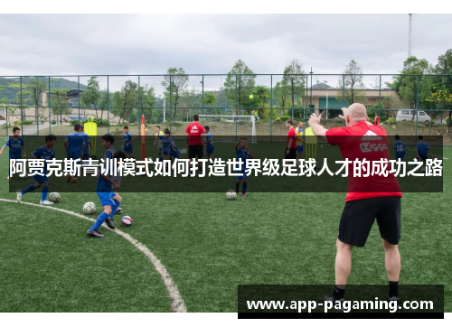 阿贾克斯青训模式如何打造世界级足球人才的成功之路