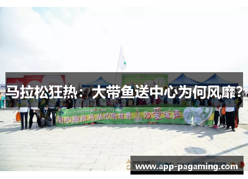 马拉松狂热:大带鱼送中心为何风靡? 马拉松狂热:大带鱼送中心为何风靡?