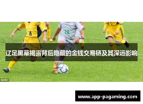 辽足黑幕揭露背后隐藏的金钱交易链及其深远影响