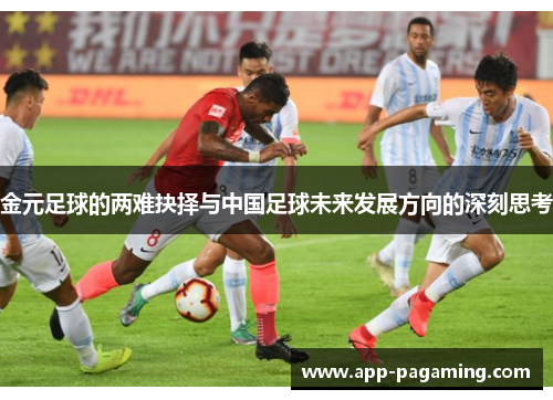 金元足球的两难抉择与中国足球未来发展方向的深刻思考