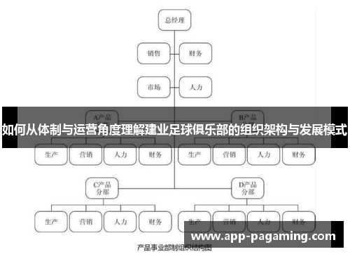 如何从体制与运营角度理解建业足球俱乐部的组织架构与发展模式