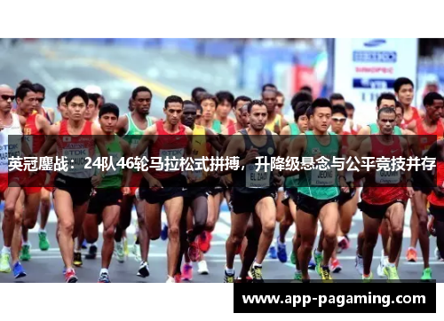 英冠鏖战：24队46轮马拉松式拼搏，升降级悬念与公平竞技并存