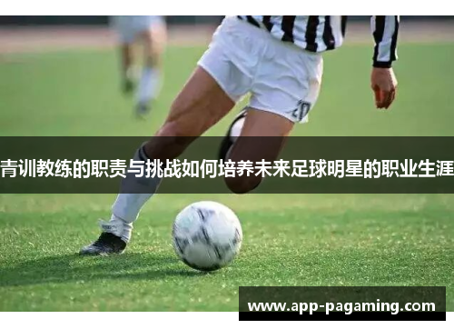 青训教练的职责与挑战如何培养未来足球明星的职业生涯