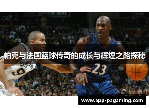 帕克与法国篮球传奇的成长与辉煌之路探秘