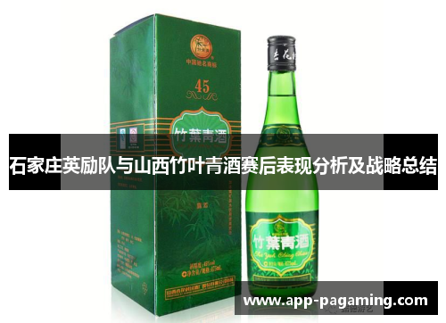 石家庄英励队与山西竹叶青酒赛后表现分析及战略总结